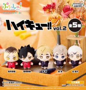 ぷちっしゅ！ ハイキュー!! vol.2