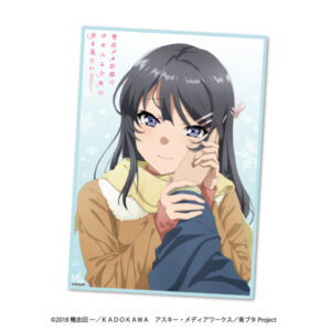 青春ブタ野郎はゆめみる少女の夢を見ない フリースブランケット