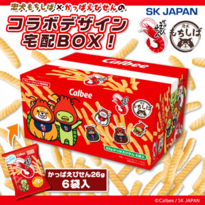 忠犬もちしば&かっぱえびせん 宅配BOX